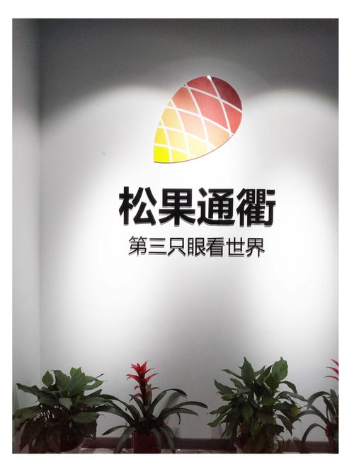 武漢松果通衢網(wǎng)絡(luò)科技